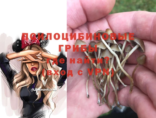 дурь Аркадак