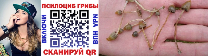 Псилоцибиновые грибы MAGIC MUSHROOMS  где купить   Иланский 
